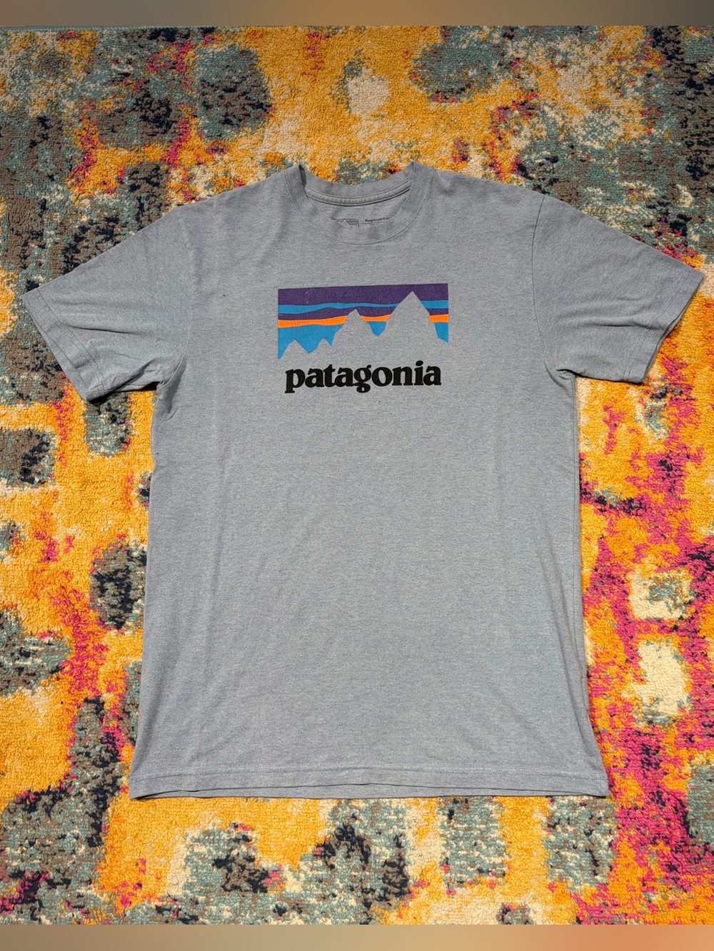 Patagonia Shirt